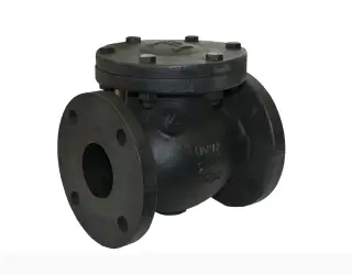 Клапан чугунный